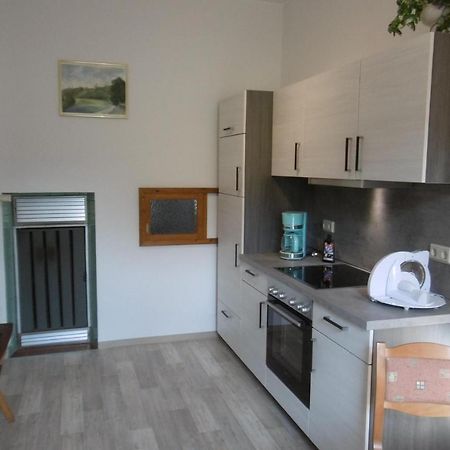 Ferienwohnung Rauscher Altenberg  Zewnętrze zdjęcie