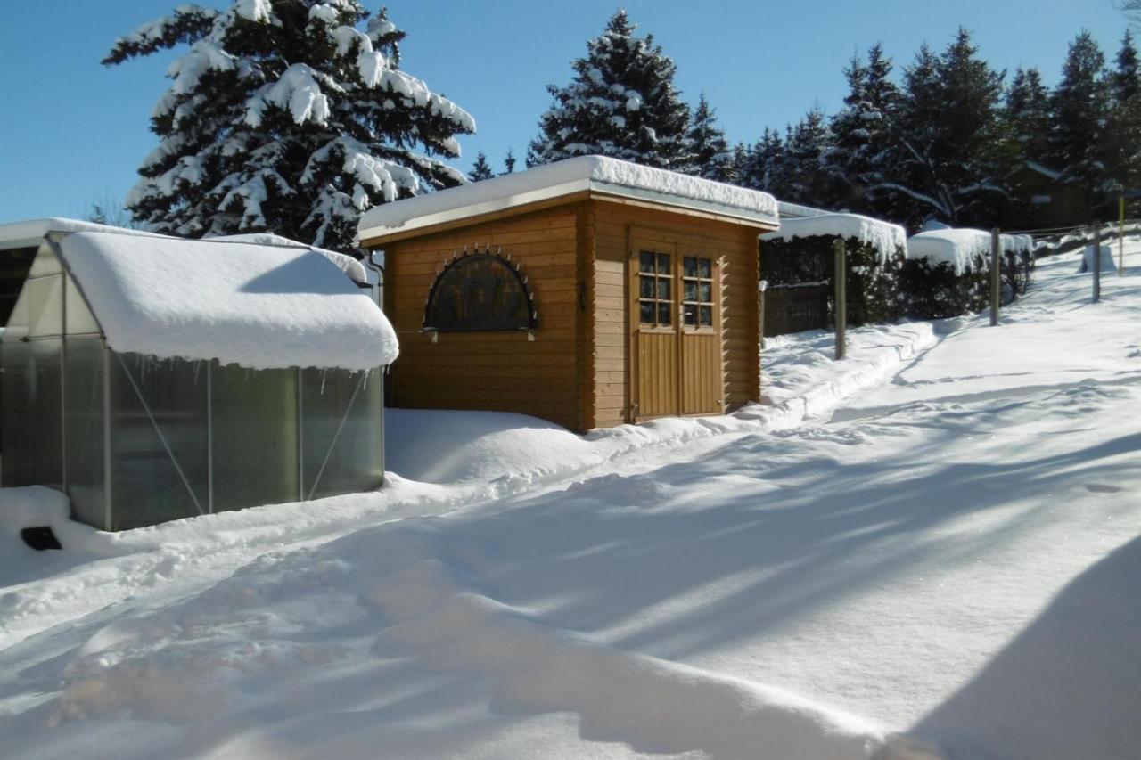 Ferienwohnung Rauscher Altenberg  Zewnętrze zdjęcie