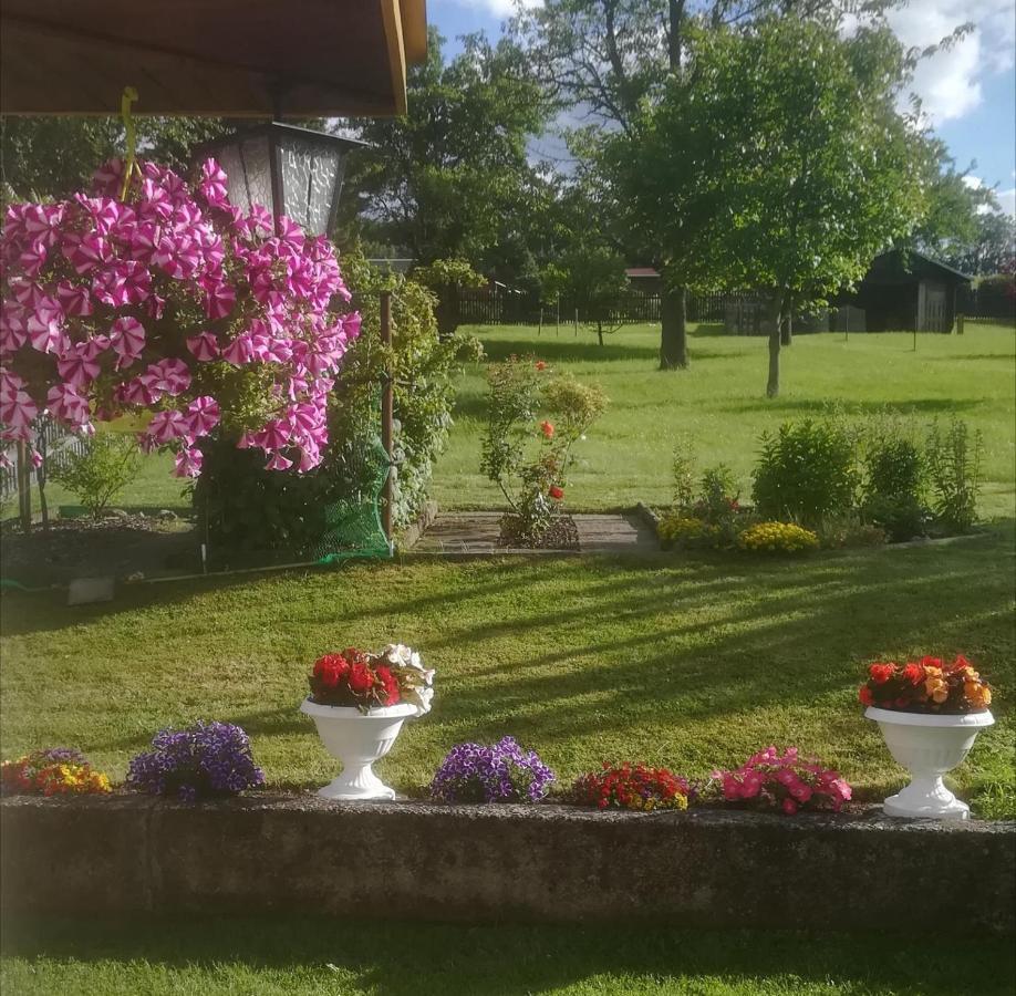 Ferienwohnung Rauscher Altenberg  Zewnętrze zdjęcie