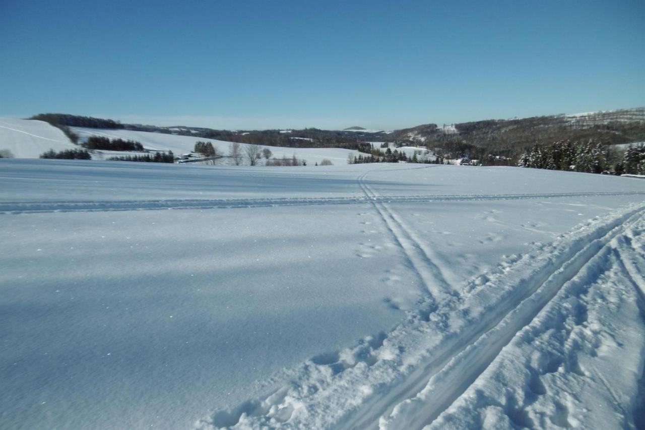 Ferienwohnung Rauscher Altenberg  Zewnętrze zdjęcie