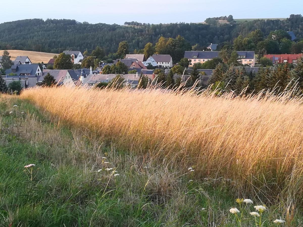 Ferienwohnung Rauscher Altenberg  Zewnętrze zdjęcie
